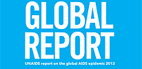 globalreport2013-206